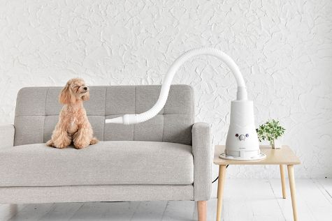 ペットドライヤー